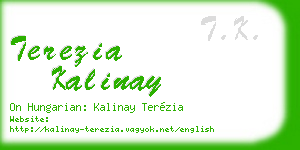 terezia kalinay business card